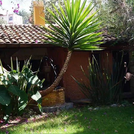 B&B La Casa De Los Espejos Holistic (Adults Only)-2